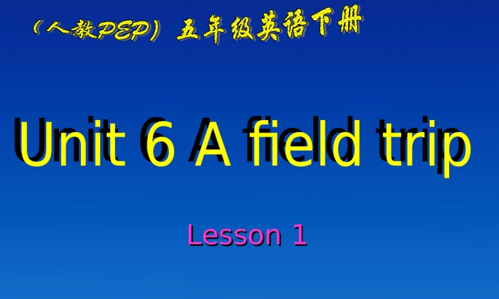 五年级英语下册 Unit6Lesson1课件 人教PEP