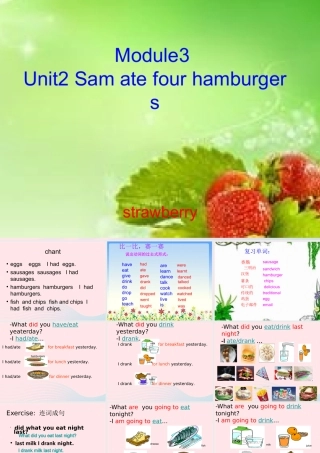 五年级英语下册 Module 3 Unit 2 Sam ate four hamburgers教学课件 外研版（三起）-外研版小学五年级下册英语课件