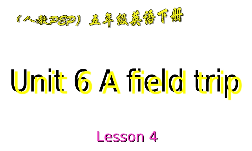 五年级英语下册 Unit6Lesson4课件 人教PEP
