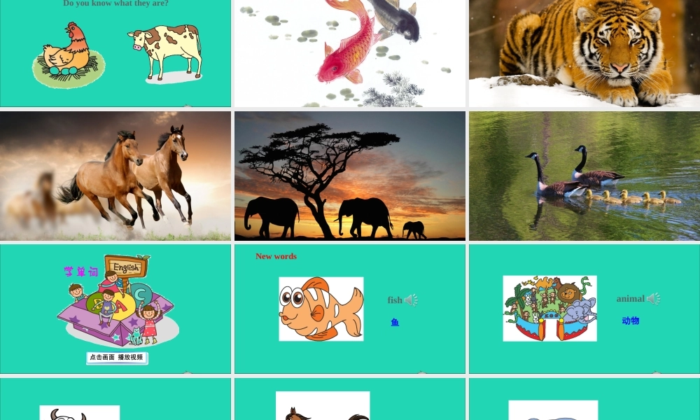 五年级英语上册 Unit 5 Is this your school bag Lesson 27-Lesson 28课件+素材 人教精通版（三起）