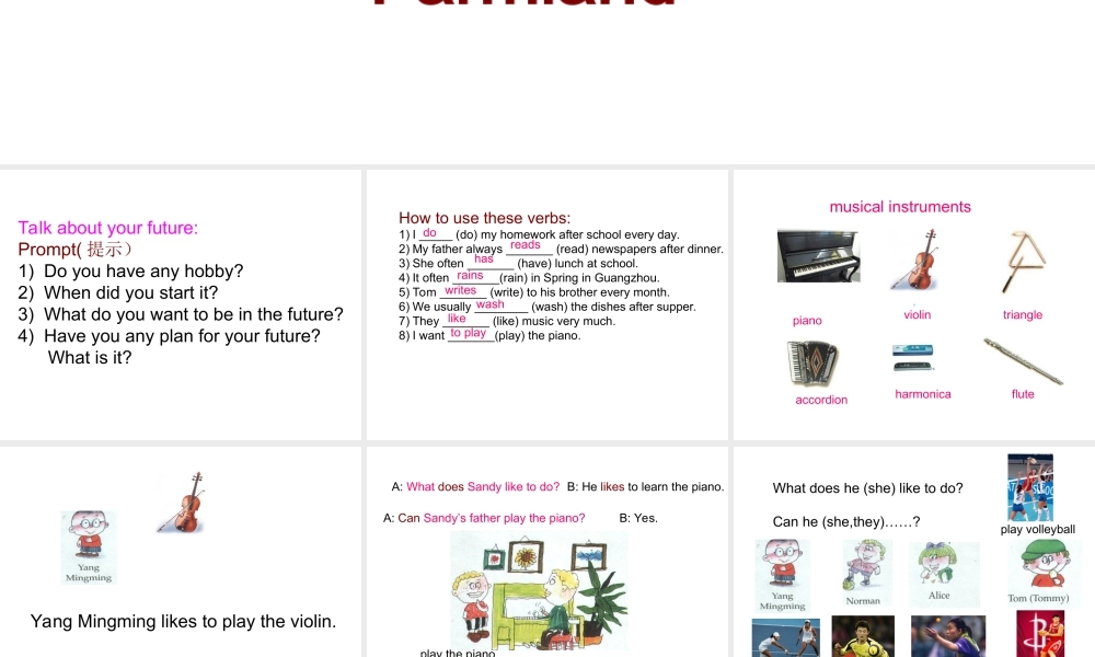 五年级英语下册 Unit 3 A Lovely Musical Instrument (3)课件 新世纪版