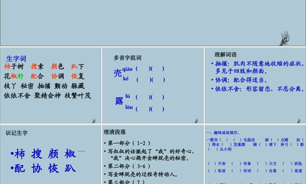 五年级语文上册 第二单元 7 金蝉脱壳教学课件 苏教版-苏教版小学五年级上册语文课件