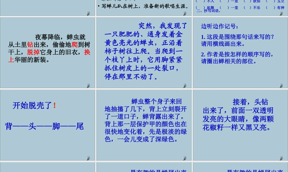 五年级语文上册 第二单元 7 金蝉脱壳教学课件 苏教版-苏教版小学五年级上册语文课件