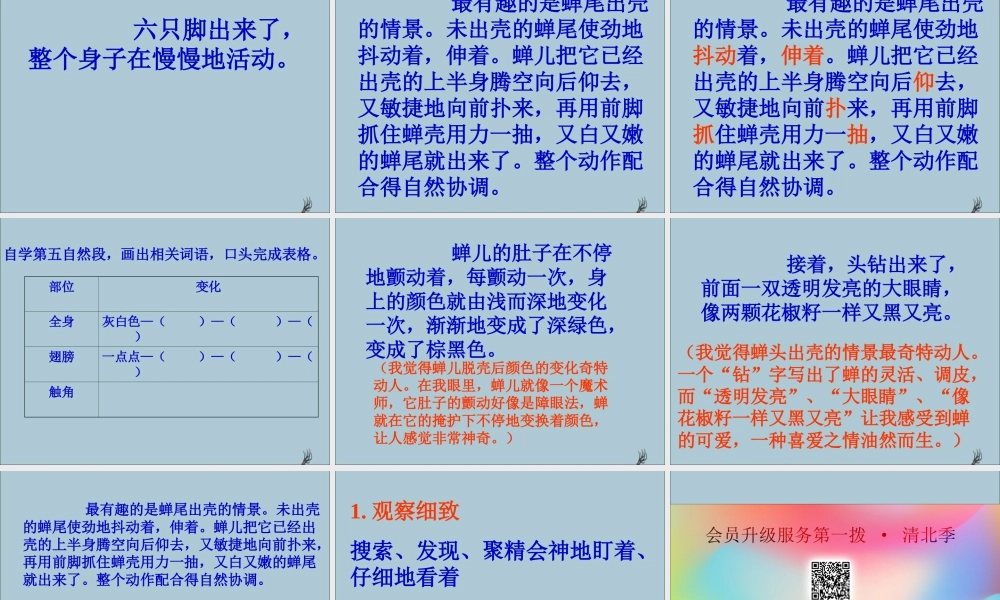五年级语文上册 第二单元 7 金蝉脱壳教学课件 苏教版-苏教版小学五年级上册语文课件