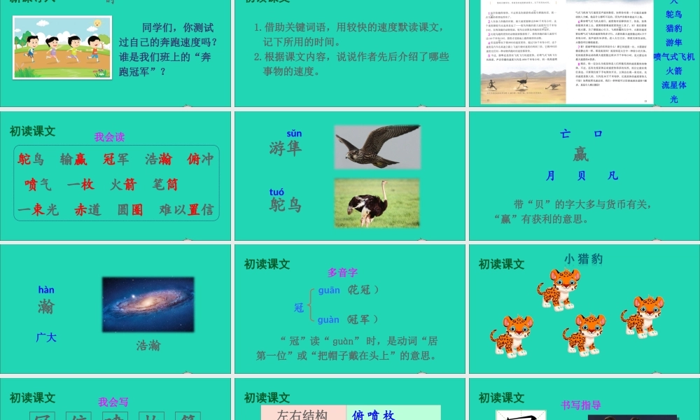 五年级语文上册 第二单元 7 什么比猎豹的速度更快课件