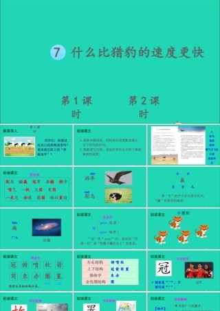 五年级语文上册 第二单元 7 什么比猎豹的速度更快课件