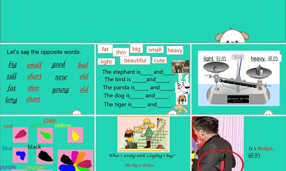 五年级英语下册 Module 5 Unit 1 It’s big and light教学课件 外研版（三起）-外研版小学五年级下册英语课件