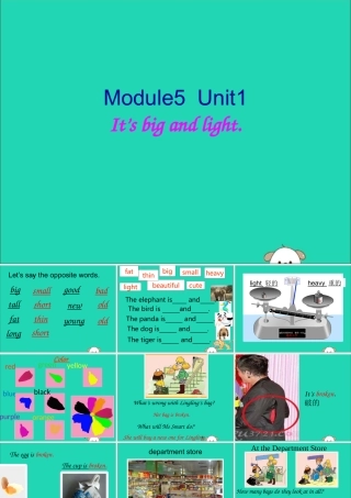 五年级英语下册 Module 5 Unit 1 It’s big and light教学课件 外研版（三起）-外研版小学五年级下册英语课件