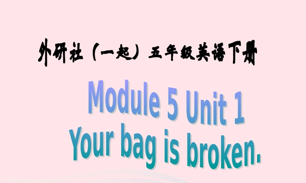 五年级英语下册 Module 5 unit 1 your bag is broken课件3 外研版（一起）-外研版小学五年级下册英语课件