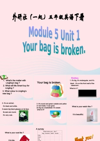 五年级英语下册 Module 5 unit 1 your bag is broken课件3 外研版（一起）-外研版小学五年级下册英语课件