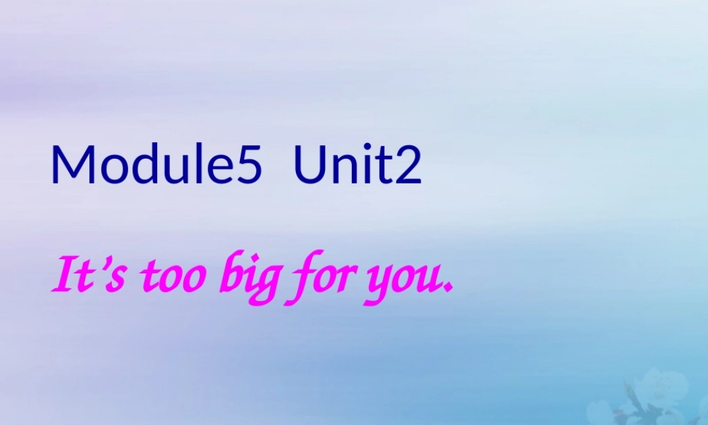 五年级英语下册 Module 5 Unit 2 It’s too big for you教学课件 外研版（三起）-外研版小学五年级下册英语课件