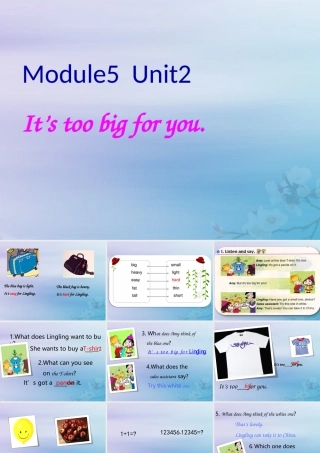 五年级英语下册 Module 5 Unit 2 It’s too big for you教学课件 外研版（三起）-外研版小学五年级下册英语课件