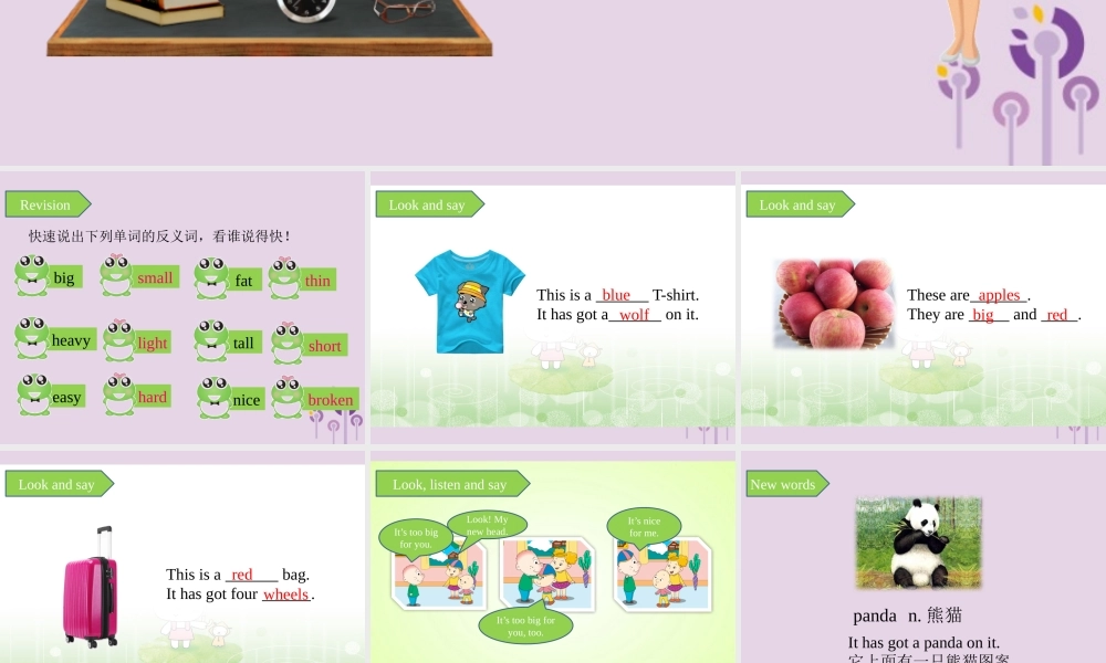 五年级英语下册 Module 5 Unit 2 It’s too big for you课件 外研版（三起）-外研版小学五年级下册英语课件