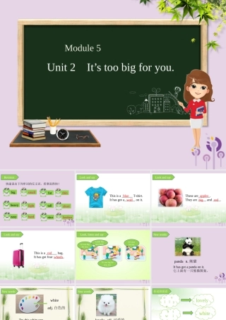 五年级英语下册 Module 5 Unit 2 It’s too big for you课件 外研版（三起）-外研版小学五年级下册英语课件