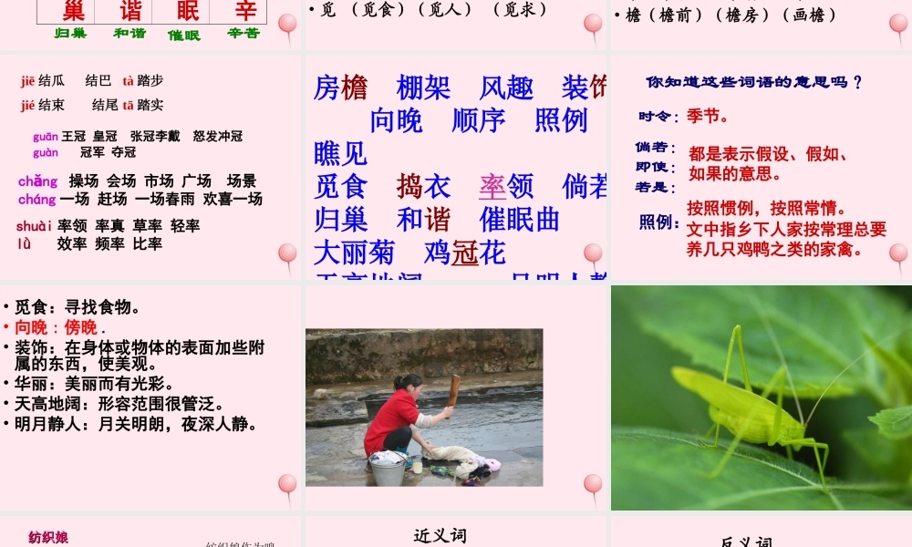 五年级语文上册 第二单元 7《乡下人家》课件2 北京版-北京版小学五年级上册语文课件