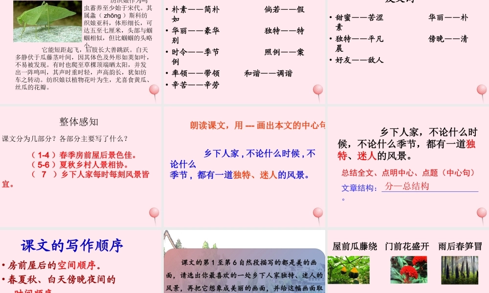 五年级语文上册 第二单元 7《乡下人家》课件2 北京版-北京版小学五年级上册语文课件