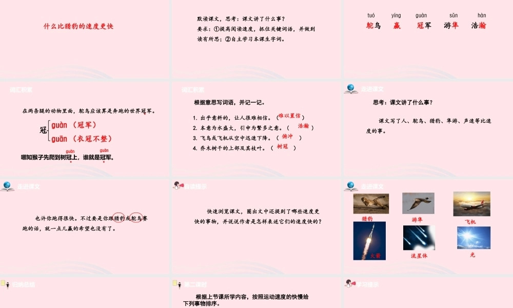 五年级语文上册 第二单元 7什么比猎豹的速度更快课件
