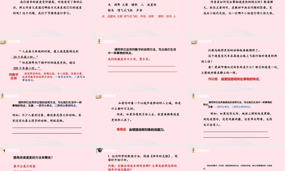 五年级语文上册 第二单元 7什么比猎豹的速度更快课件