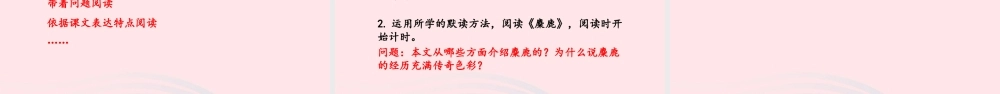 五年级语文上册 第二单元 7什么比猎豹的速度更快课件