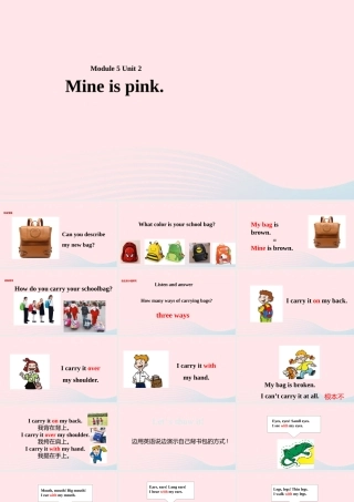 五年级英语下册 Module 5 unit 2 mine is pink课件2 外研版（一起）-外研版小学五年级下册英语课件