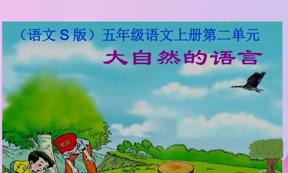 五年级语文上册 第二单元 8 大自然的语言教学课件 语文S版-语文S版小学五年级上册语文课件