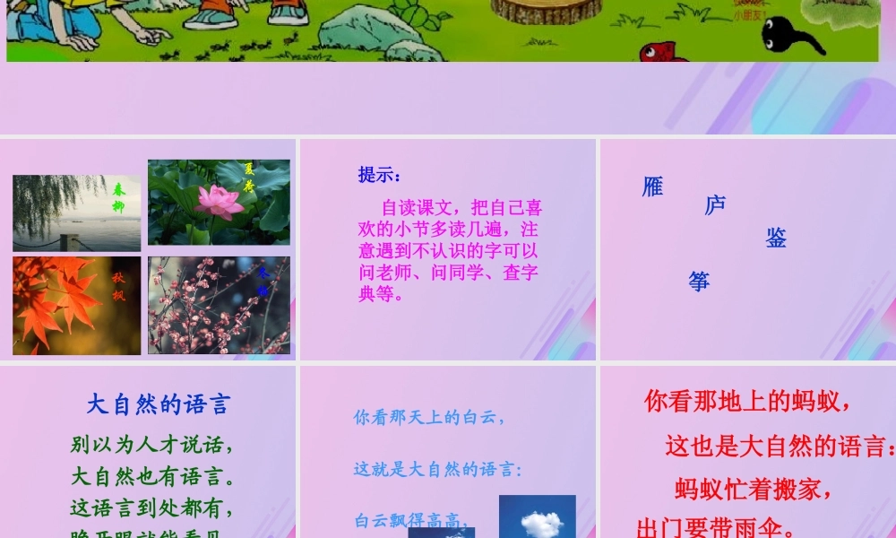 五年级语文上册 第二单元 8 大自然的语言教学课件 语文S版-语文S版小学五年级上册语文课件