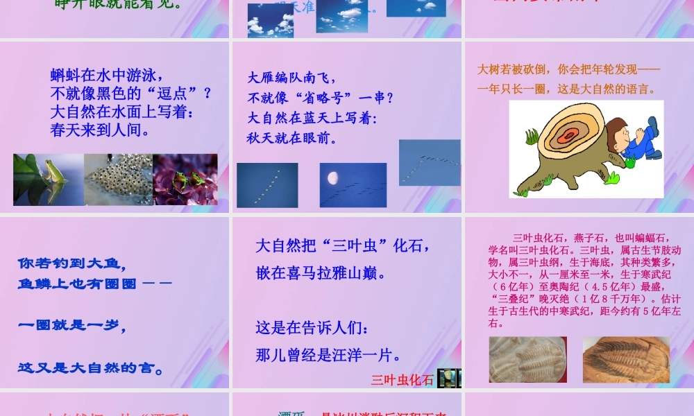 五年级语文上册 第二单元 8 大自然的语言教学课件 语文S版-语文S版小学五年级上册语文课件