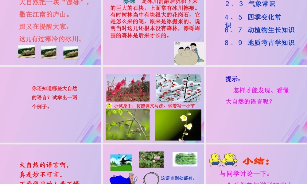 五年级语文上册 第二单元 8 大自然的语言教学课件 语文S版-语文S版小学五年级上册语文课件