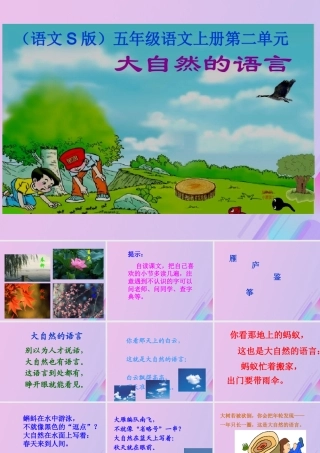五年级语文上册 第二单元 8 大自然的语言教学课件 语文S版-语文S版小学五年级上册语文课件
