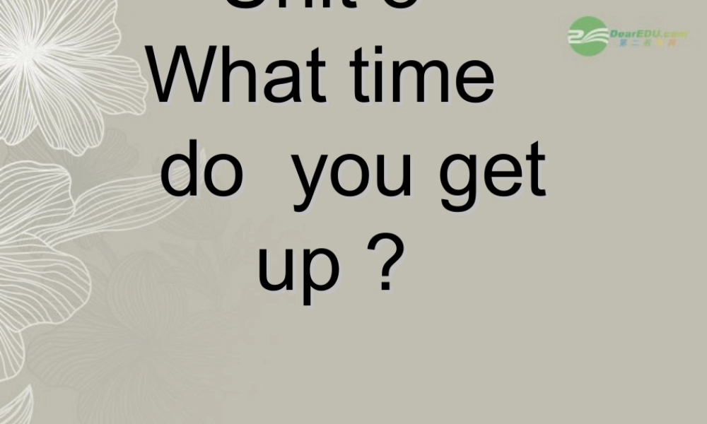 五年级英语上册 Unit 8(3)课件 湘少版