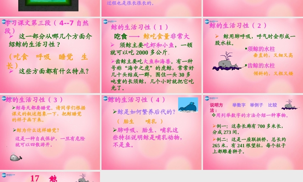 五年级语文上册 9.鲸课件 新人教版-新人教版小学五年级上册语文课件