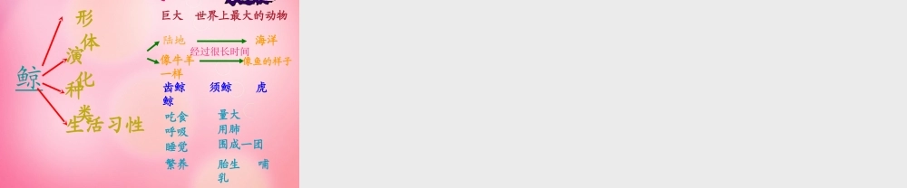 五年级语文上册 9.鲸课件 新人教版-新人教版小学五年级上册语文课件