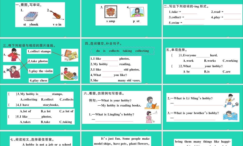 五年级英语上册 Unit 9 What's your hobby作业课件 湘少版-湘少版小学五年级上册英语课件