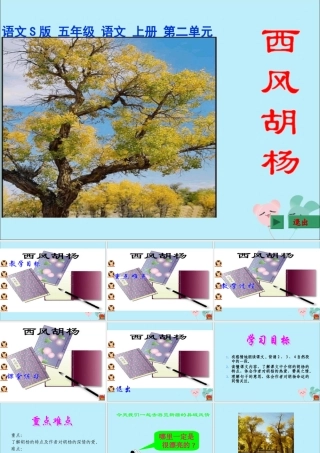 五年级语文上册 第二单元 9 西风胡杨教学课件 语文S版-语文S版小学五年级上册语文课件