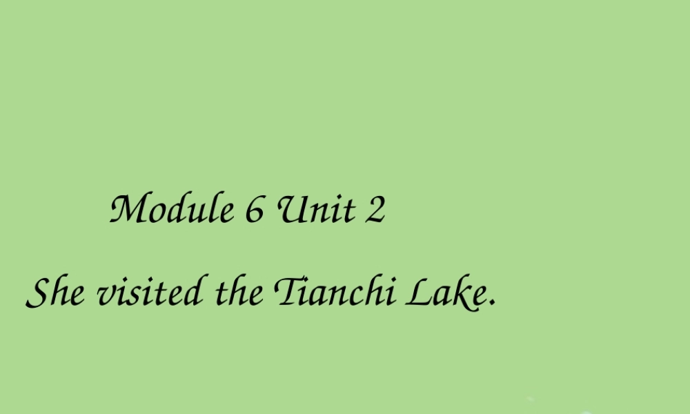 五年级英语下册 Module 6 Unit 2 She visited the Tianchi Lake（1）教学课件 外研版（三起）-外研版小学五年级下册英语课件