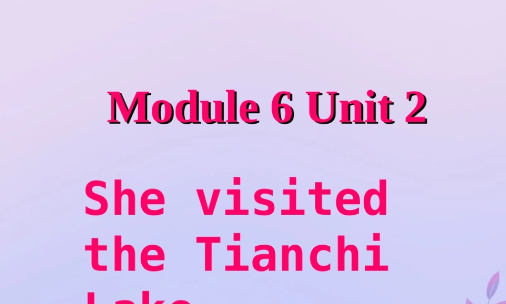 五年级英语下册 Module 6 Unit 2 She visited the Tianchi Lake（2）教学课件 外研版（三起）-外研版小学五年级下册英语课件