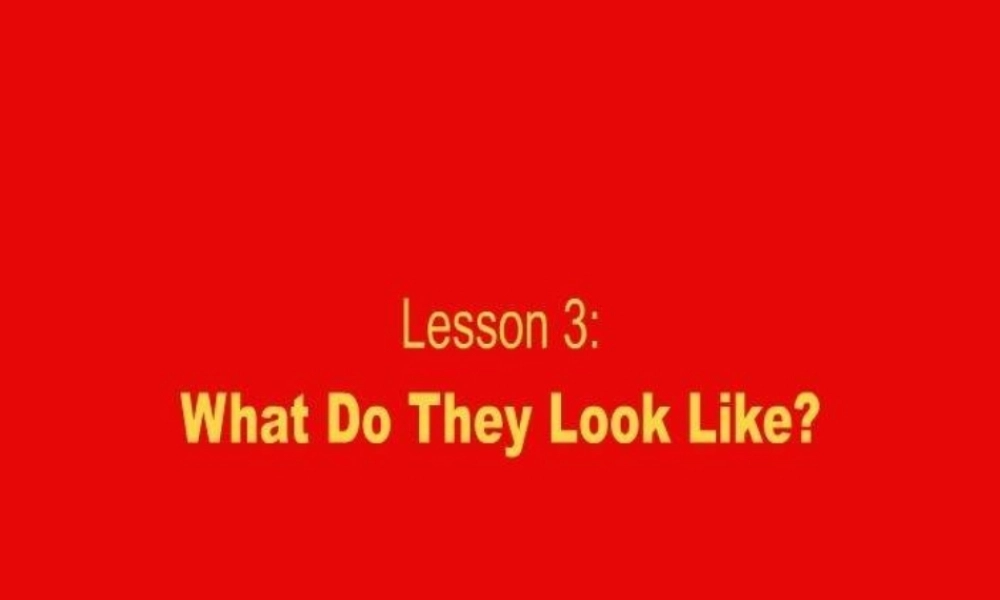 五年级英语上册 Unit1 Lesson 3 What Do They Look Like课件 冀教版（三起）-冀教版小学五年级上册英语课件