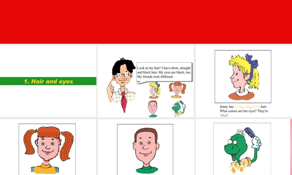 五年级英语上册 Unit1 Lesson 3 What Do They Look Like课件 冀教版（三起）-冀教版小学五年级上册英语课件