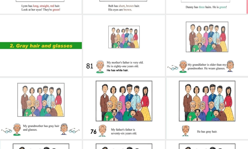 五年级英语上册 Unit1 Lesson 3 What Do They Look Like课件 冀教版（三起）-冀教版小学五年级上册英语课件