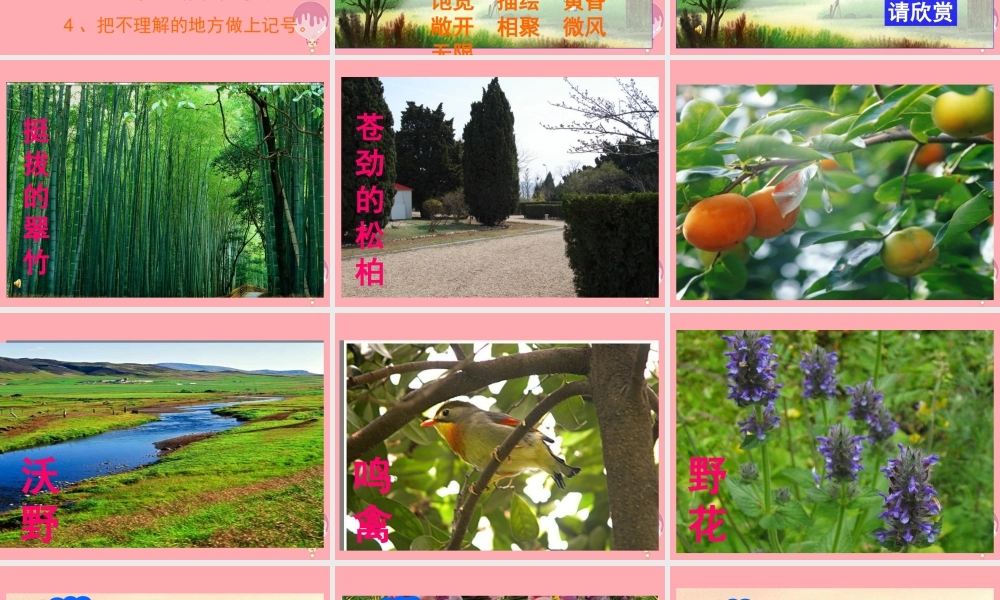 五年级语文上册 第4课 去打开大自然绿色的课本课件 苏教版-苏教版小学五年级上册语文课件