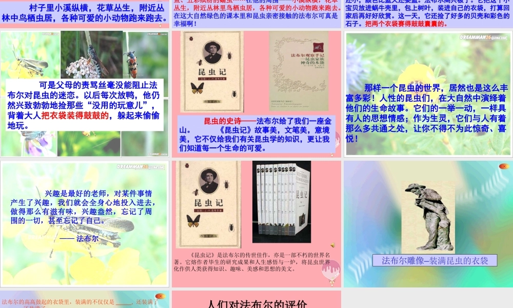 五年级语文上册 第5课 装满昆虫的衣袋课件 苏教版-苏教版小学五年级上册语文课件