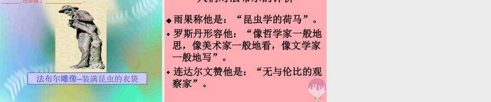 五年级语文上册 第5课 装满昆虫的衣袋课件 苏教版-苏教版小学五年级上册语文课件