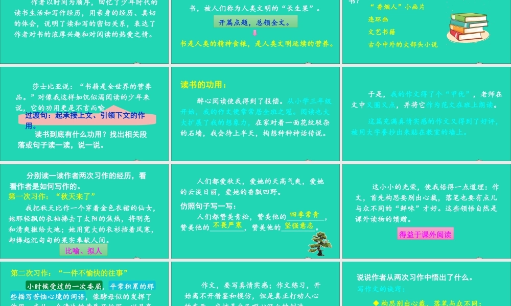 五年级语文上册 第八单元 27 我的长生果课件