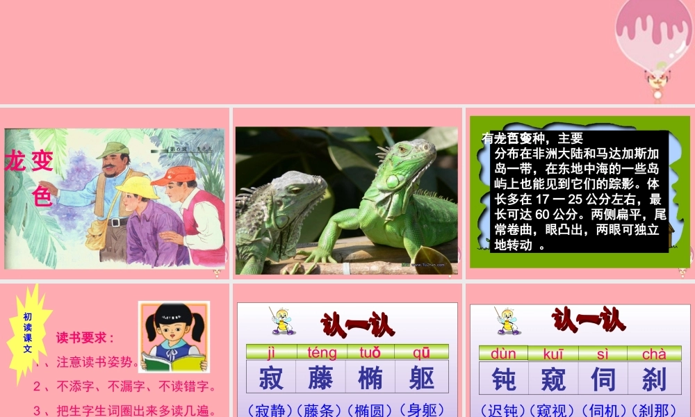 五年级语文上册 第6课 变色龙课件 苏教版-苏教版小学五年级上册语文课件