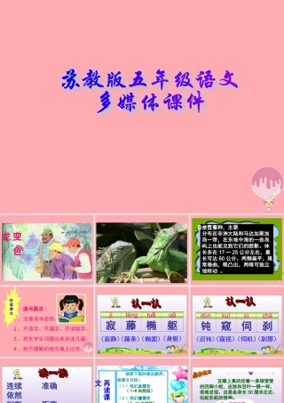 五年级语文上册 第6课 变色龙课件 苏教版-苏教版小学五年级上册语文课件
