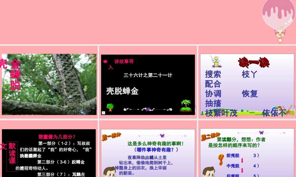 五年级语文上册 第7课 金蝉脱売课件 苏教版-苏教版小学五年级上册语文课件