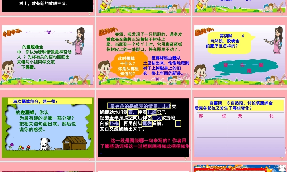 五年级语文上册 第7课 金蝉脱売课件 苏教版-苏教版小学五年级上册语文课件