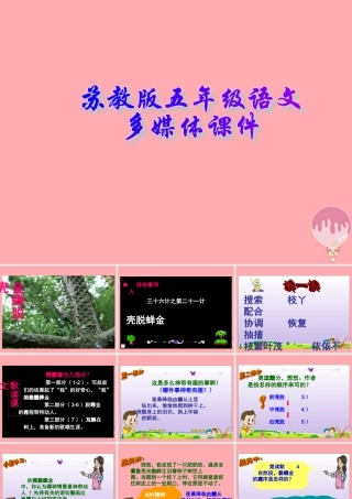 五年级语文上册 第7课 金蝉脱売课件 苏教版-苏教版小学五年级上册语文课件