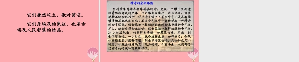 五年级语文上册 第八单元 埃及金字塔课件1 西师大版-西师大版小学五年级上册语文课件