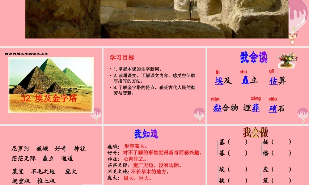 五年级语文上册 第八单元 埃及金字塔课件2 西师大版-西师大版小学五年级上册语文课件